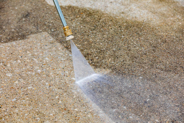 Best Animal Enclosure Cleaning  in Darmstadt, IN