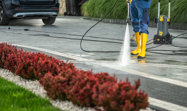 Reliable Darmstadt, IN Pressure Washing Solutions